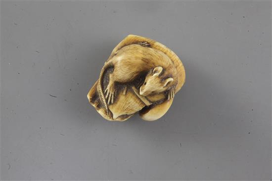 A Japanese ivory netsuke, 19th century, 4.2cm